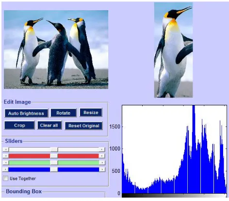 Figure 10: Image rotation 