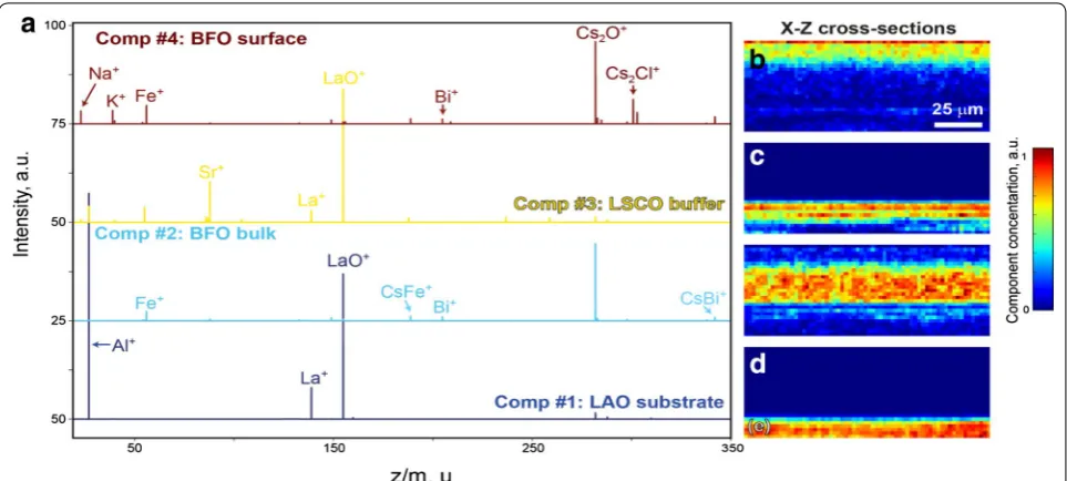 Fig. 9 Results of NMF performed on 4-dimensional ToF-SIMS data. a Calculated endmembers, b–e X–Z cross sections of corresponding abundance maps