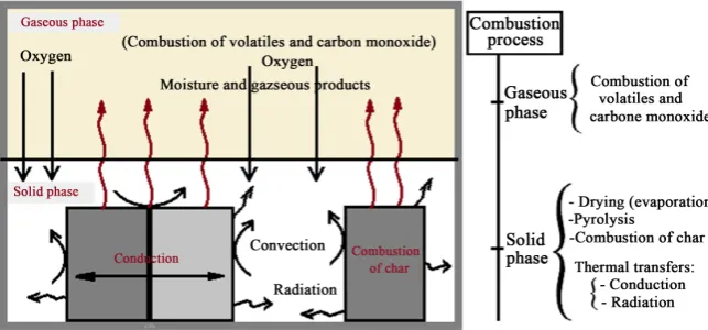 Figure 1. Representative section of burning wood particle.