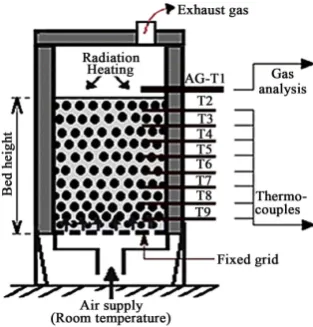 Figure 3. Schematic of combustion in the solid fuel bed.   