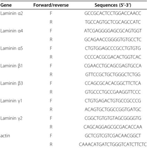 Table 2 Primer sequences for reverse transcriptionpolymerase chain reaction (RT-PCR)