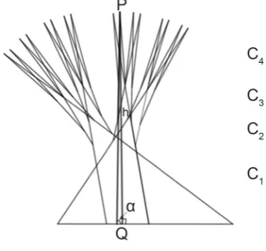 Figure 28).  