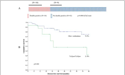 Table 3 Uni- and multivariate Cox regression models of disease-free survival in TNBC patients (N = 57) considering a model ofdouble positivity for TAZ and YAP