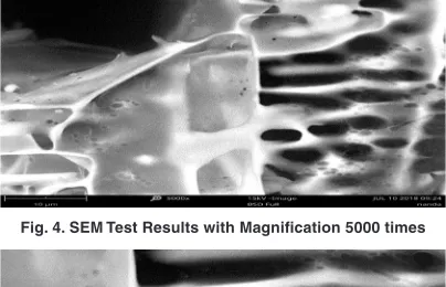 Fig. 4. SEM Test Results with Magnification 5000 times