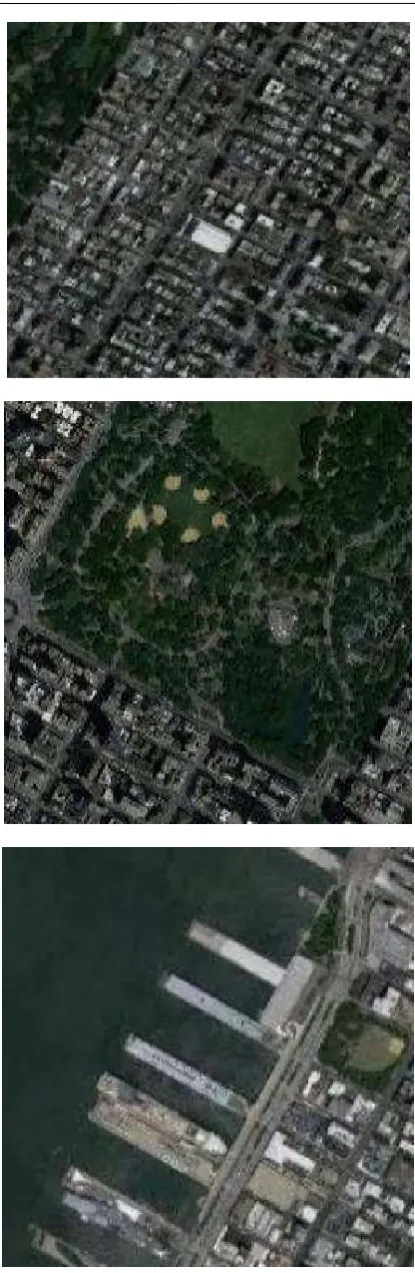 Fig. 2. The above figure shows  the satellite images from  the dataset 