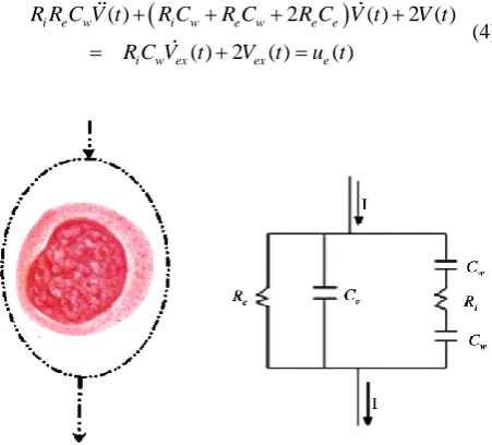 Figure 1. Passage of electric current I in the human cell and its /equivalent electric circuit