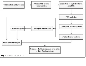 Fig. 1 Flowchart of this study