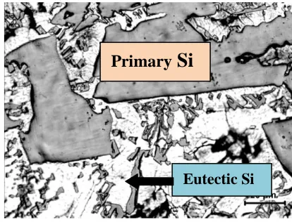 Fig. 4 Microstructure of LM30 alloy 