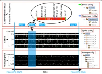 Fig. 1 The principle for data standardization in a typical electrophysiological experiment
