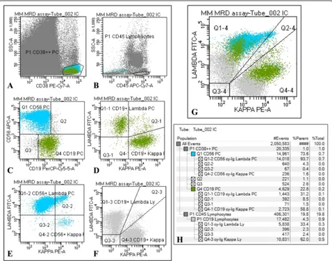Fig. 1 Flow cytometry gating strategy for MRD assessment: representative analysis of a bone marrow sample