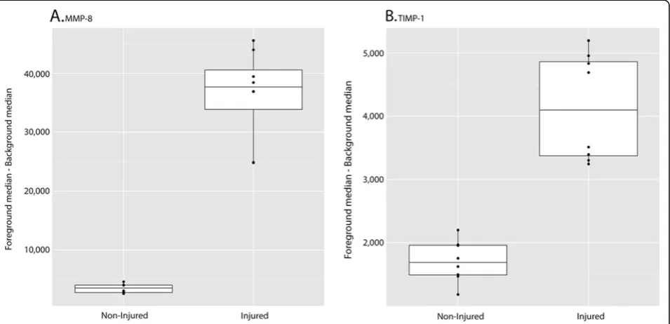 Figure 4 CSF western blot analysis. (a)as a positive control. Blots were probed for Transferrin as a loadingcontrol.rat brain lysate (B), but not in CSF CSF, cerebrospinal fluid; MMP,matrix metalloproteinase; TIMP-1 MMP-8 levels are elevatedin injured anim