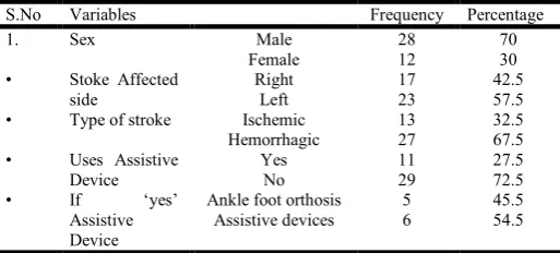 Table I. It illustrates the demographical data used in the study 