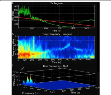 Fig. 4 Non-stationary RR interval (RRi) series during a maximal effort exercise (colors map (a) and the resulting scaled b) and surface plot (c)