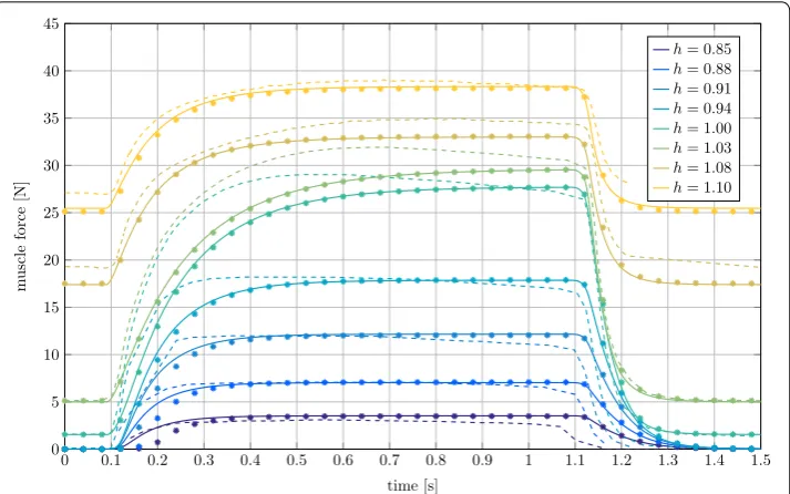 Fig. 6 Comparison of the concentric contraction velocity between the extended Hill-type muscle model and *MAT_156