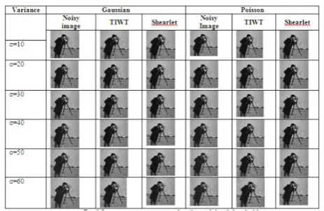 Figure 6. Cameraman image using TIWT and shearlet with hard threshold 