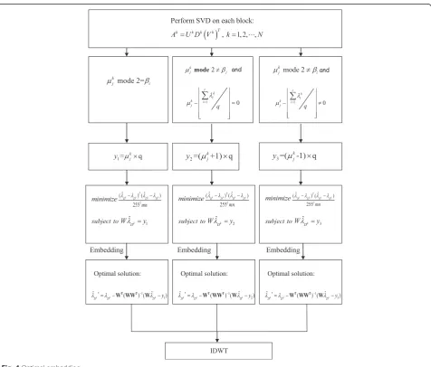 Fig. 4 Optimal embedding