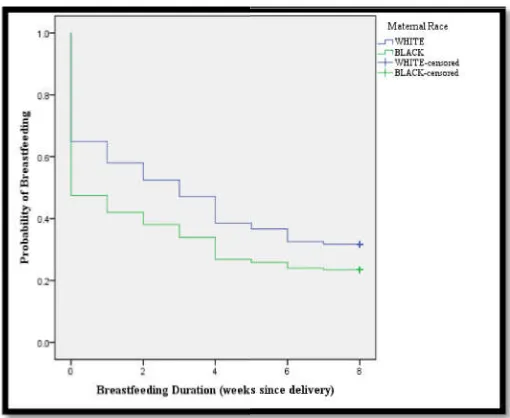 Figure 1. Race and Breastfeeding Iniillustrates the percent of women within the initiated breastfeeding response categories by race