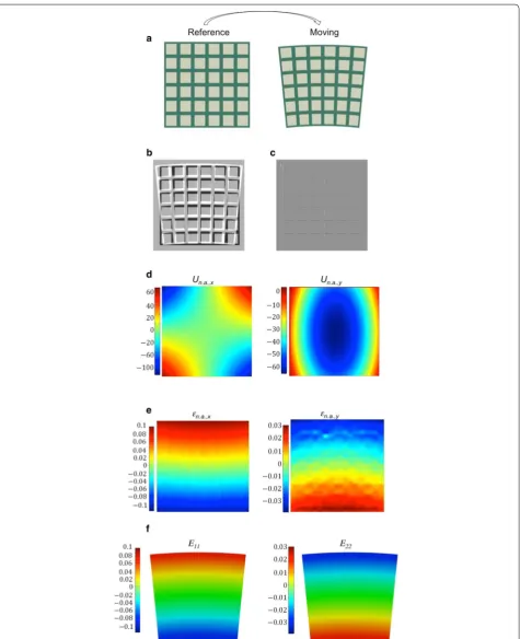 Fig. 5 Example of application of the algorithm on an artificial homogeneous image (a) where the grid is imposed to highlight the deformations and mismatches