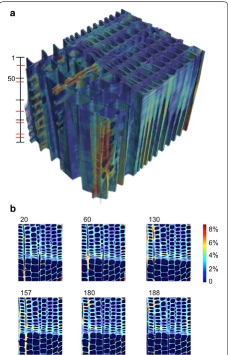 Fig. 7 a Three-dimensional map of equivalent von Mises non-rigid strains on the wood cell wall of sample  ELWd,1 for 200 slices, as indicated in the bar