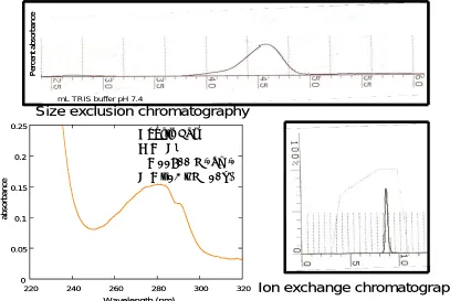 Figure 2.3 pGEX-2T purification Top: size exclusion chromatograph.  Lower left: example of UV absorbance spectrum of purified protein
