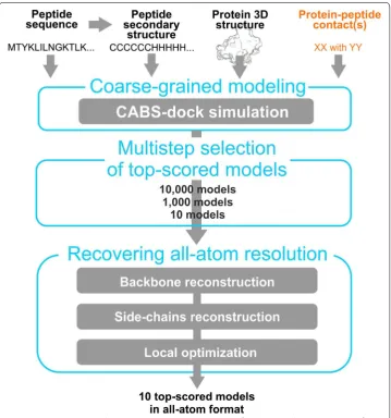 Fig. 1 CABS-dock pipeline. The pipeline shows CABS-dock in the default mode (without any contact infor-mation) and additional input information used in the contact driven mode (marked in orange)