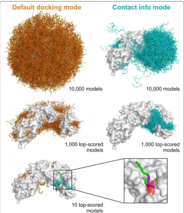 Fig. 3 CABS-dock predictions for the 3d1e complex. The image shows CABS-dock 3d1e predictions in two lowest RMSD (from the contact information mode) is shown in complex in marked in docking modes: default mode (, without using any information about the bin