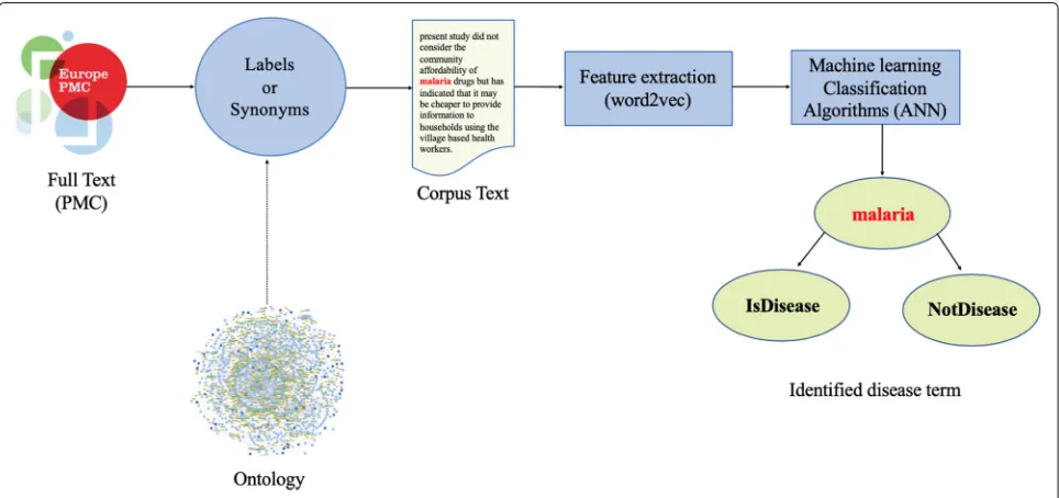 Fig. 1 Label-based workflow. The workflow describes how words (in red) are classified as disease or “other”