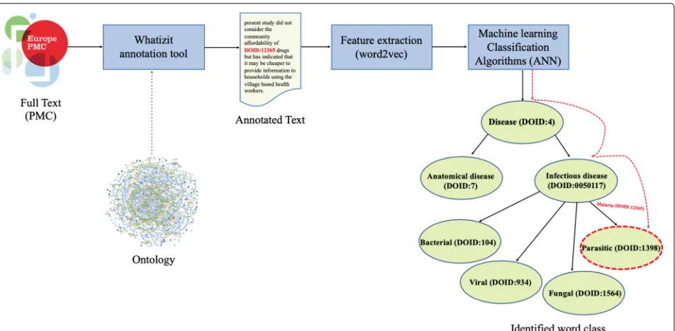 Fig. 2 Annotation-based workflow. In this workflow, we first normalize the mentions of disease classes in the corpus and then apply Word2Vec togenerate embeddings for classes, not merely words