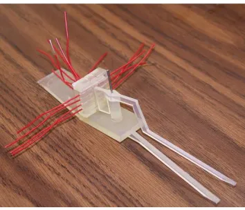 Figure 5: The EAP-powered Gripper   