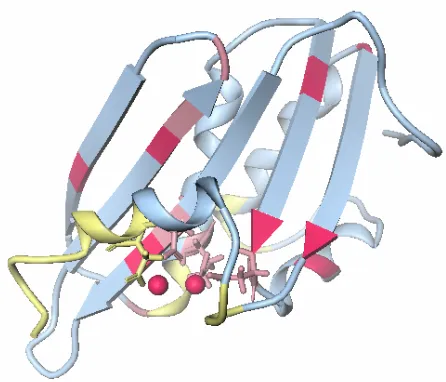 Figure 4. Mapping of the shift perturbations on the HIV- 