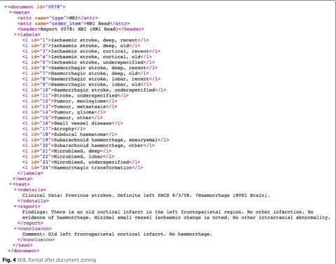 Fig. 4 XML format after document zoning