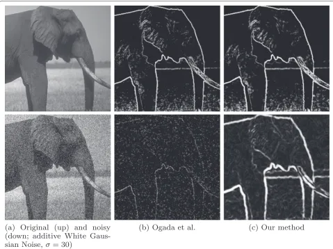 Fig. 6 Edge maps of an elephant image: a original and noisy (white Gaussian noise) image, b image generated from the Ogada et al
