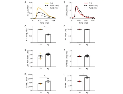 Fig. 3 Use of ryanodine receptor antagonist to demonstrate signal specificity. Representative optical action potential (a) and calcium transient(b) recorded under control perfusion (Ctrl) or immediately after administration of ryanodine (Ry, 30 s – 3 min)