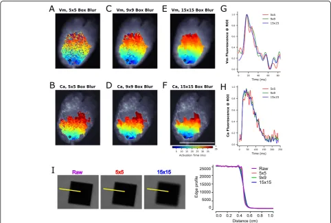 Fig. 5 Spatial filtering of optical signals using box blurring. The fluorescence intensity of each pixel is averaged with neighboring pixels.(purple), 5 × 5 box blurred image (red) and 15 × 15 box blurred image (blue)