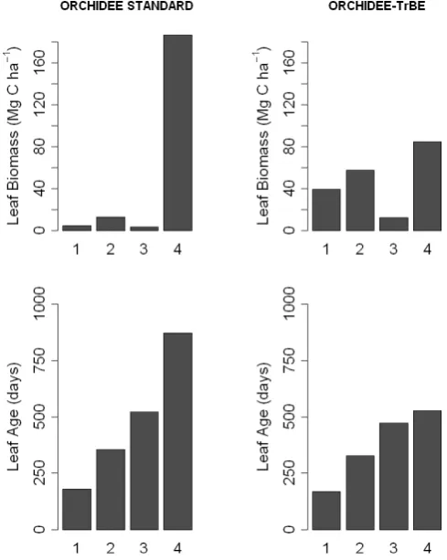 Fig. 7. Leaf biomass and leaf age distribution by leaf age class atGuyaﬂux for ORCHIDEE-STAND and ORCHIDEE-TrBE.