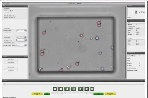 Fig. 2 Screenshot: An example showing a software for manual correction and annotation of cell tracking experiments as described in [11]