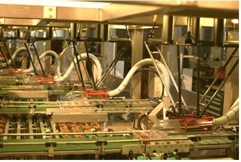 Figure 9. Delta robots in the Demaurex work cells for the packaging of pretzels. 