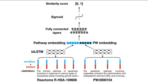 Fig. 3 Architecture of neural network model. The neural network computes similarity between a pathway definition and a PW class definition