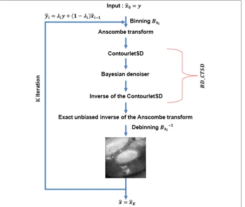 Fig. 9 Flowchart of the Bayesian Denoiser in the CTSD domain with Variance Stabilization using Anscombe transform