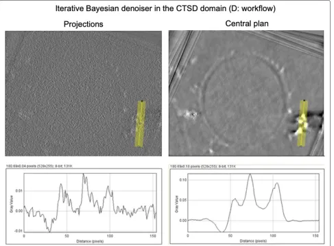 Fig. 2 Results of the iterative denoising process on images. The charts correspond to profiles obtained from the lines drawn in each image