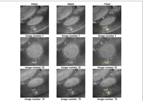 Fig. 6 Example images (tilt angles of -60°, 0° and 60°) for tomographic EFTEM series acquired at 650, 680 and 710 eV
