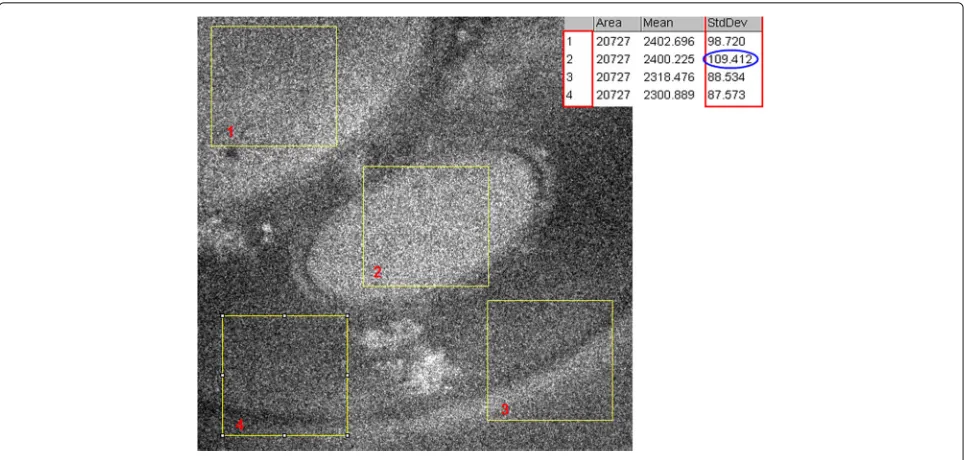 Fig. 8 Standard deviation values (STD) in different regions of an EFTEM image