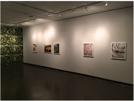 Figure 4.2 How to Orient Yourself in the Wilderness Installation View #2, 2016  