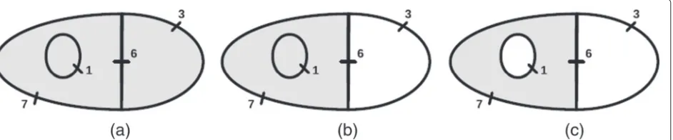 Figure 2 Example of the RFC definition by optimum energy. The three above solutions (a,b,c) have optimum energy ε∞(x) = 7, but we have thatonly (c) corresponds to a valid RFC solution according to Equation 6 for the seeds given in Figure 1.