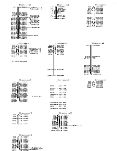 Fig. 1 Genetic linkage maps of the 12 chromosomes constructed using ordering algorithm (RECORD) based on an IR29/Hasawi RIL populationphenotyped in the phytotron at IRRI (E1)