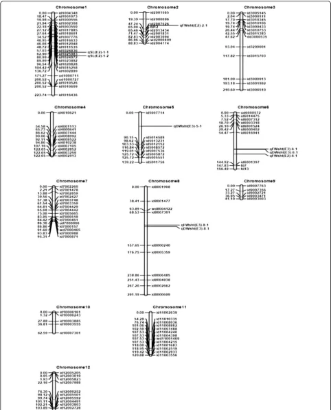 Fig. 2 Genetic linkage maps of the 12 chromosomes constructed using ordering algorithm (RECORD) based on an IR29/Hasawi RIL populationphenotyped in Senegal (E2) and Tanzania (E3)