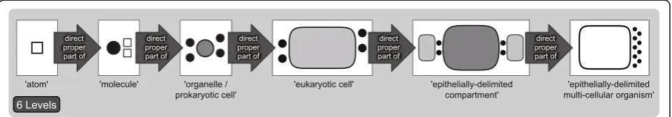 Fig. 4 Compositional Building Block (CBB) Granular Perspective. The different building blocks are granulated according to the direct properparthood granulation relation (the large dark arrows)