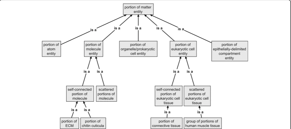 Fig. 8 Top-Level Subclasses ofentitymulti-cellular organisms, can be represented as a respective portion of matter entity in coarser spatio-structural frames of reference
