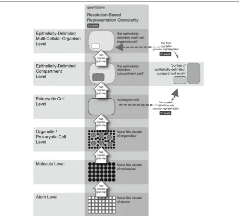 Fig. 9 Resolution-Based Representation (RBR) and Resolution-Based Countability Representation (RBCR) Granularity Perspective