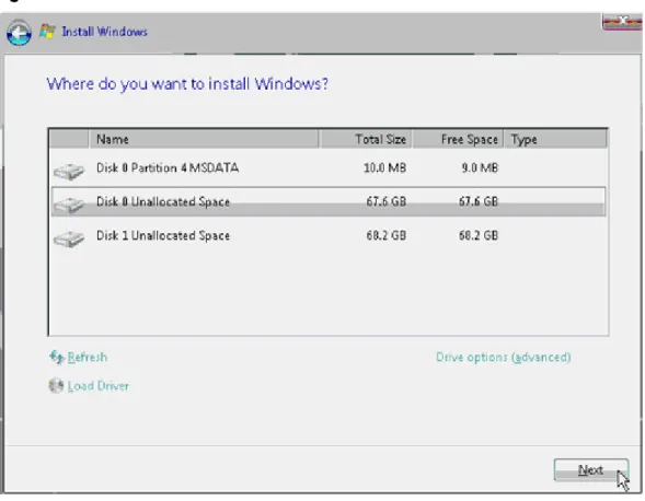 Figure 2-10 Install Windows screen